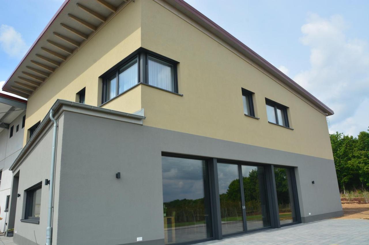Weingut Bugner Meizelhof Klein-Winternheim Exterior photo